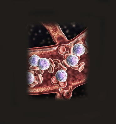 gynaecologists