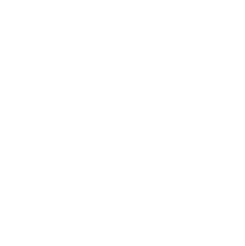 Thoracic-icon