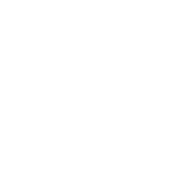 Thoracic-icon